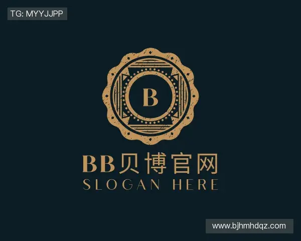 了解bb贝博官网